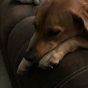 Meet your Posher, Derek